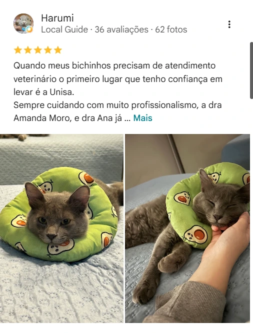 Avaliação de cliente no Google sobre a UNISA