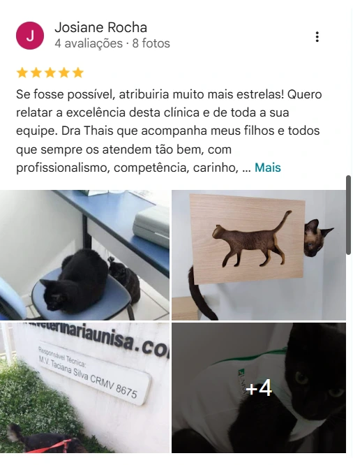 Avaliação de cliente no Google sobre a UNISA
