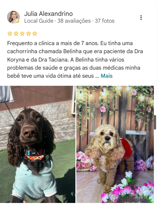 Avaliação de cliente no Google sobre a UNISA