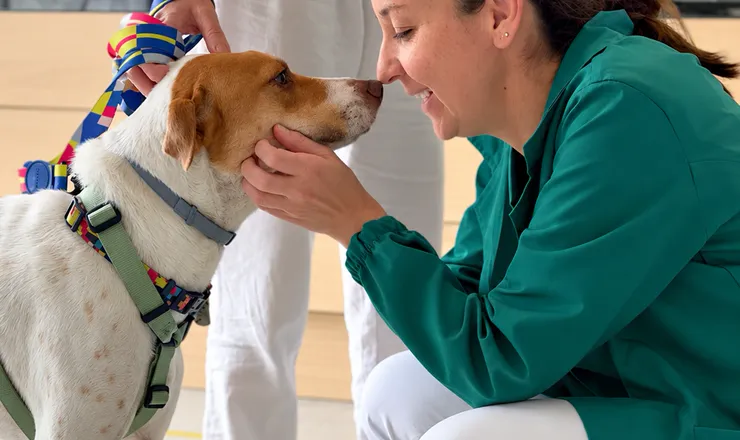 Veterinária da UNISA recebendo um cão na consulta