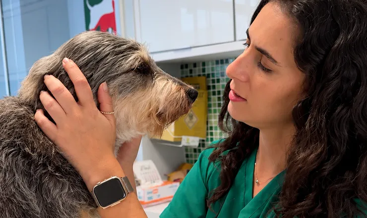Veterinária da UNISA fazendo carinho em um cão